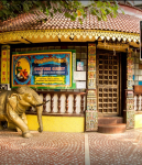 Dakshin Culture Curry - Mahim - Mumbai