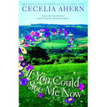 If You Could See Me Now - Cecelia Ahern