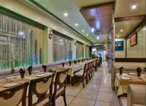 Pikachu - Panvel - Navi Mumbai