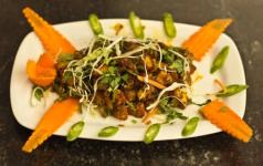 Sangam Hotel - Ashok Nagar - Bangalore