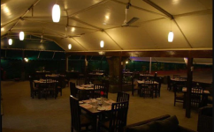 Mango Tree - J P Nagar - Bangalore