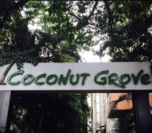 Coconut GroveResto Bar - Camp - Pune