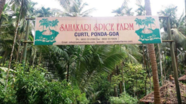 Sahakari Spice Farm - Ponda - Goa