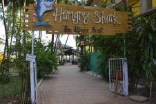Hungry Shark - Salcette - Goa