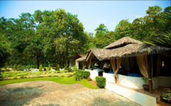 Soul Souffle - Verna - Goa