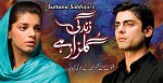 Zindagi Gulzaar Hai