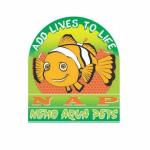 Nemo Aqua Pet Shop - Bangalore
