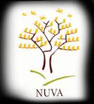 Nuva College of Engineering and Technology - Nagpur