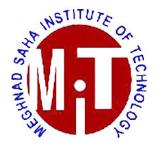 Meghnad Saha Institute of Technology - Kolkata