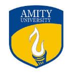 Amity Institute of Vocational & Industrial Training - Noida
