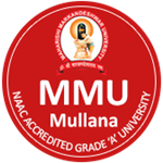 M.M. Institute of Physiotherapy and Rehabilitation - Ambala