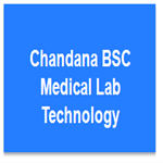 Chandana B.Sc. Medical Lab Technology - Nalgonda