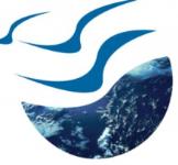 Guardian School of Design and Management - Mohali