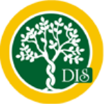 Delhi International School - Dwarka - Delhi