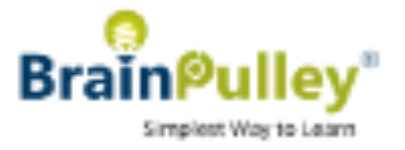 Brain Pulley Solutions - Bangalore