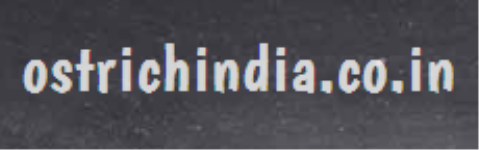 Ostrichindia - Bangalore