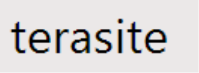 Terasite Software - Bangalore