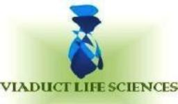 Viaduct Life Sciences - Bangalore