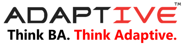 Adaptive Processes Consulting - Chennai