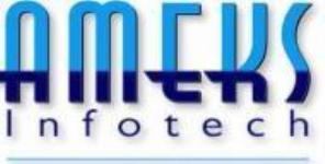 Ameks Infotech - Chennai