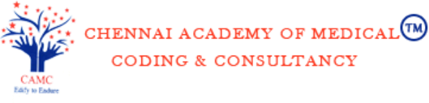 Coders Academy - Chennai