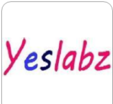 Yeslabz - Chennai