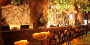 Rainforest Resto Bar - Viman Nagar - Pune
