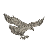 The Hyderabad Public School - Begumpet - Hyderabad