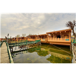 New Alexandra Group Of Houseboats - Srinagar