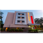 Ginger - Pondicherry