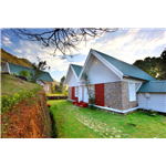 Ambady Estate - Munnar
