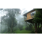 Nature Zone Jungle Resort - Munnar
