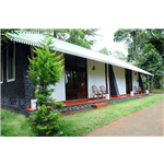 Punarjani Ayurvedic Resorts - Munnar