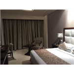 Godwin Hotel - Green Wood City - Meerut