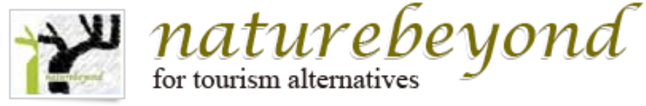 Alpine Nature Beyond - Darjeeling