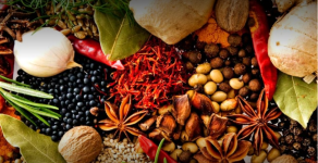 Bharat Travel Service - Chennai