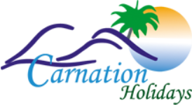 Carnation Travel Services - New Delhi
