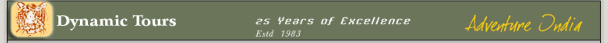 Dynamic Tours - New Delhi
