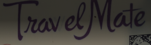 Travelmate - New Delhi