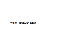 Whale Travels - Srinagar
