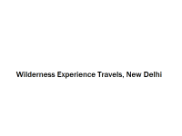 Wilderness Experience Travels - New Delhi