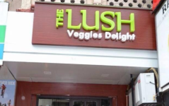 The Lush - Dadar - Mumbai