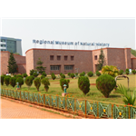 Regional Museum of Natural History - Bhubaneshwar