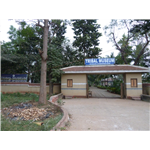 Tribal Research Institute Museum - Bhubaneshwar