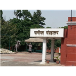 Panipat Museum - Panipat