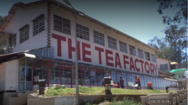 Tea Museum and Factory - Ooty