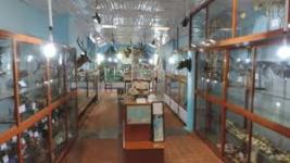 Shembaganur Museum of Natural History - Kodaikanal