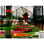 Lal Bagh Garden - Bengaluru