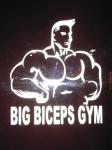 Big Biceps Gym - Pankha Road - Delhi