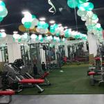 The Gym - Model Town - Delhi